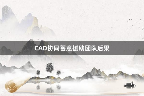 CAD协同蓄意援助团队后果