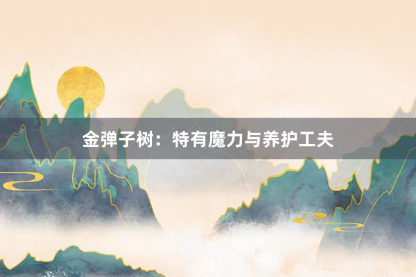 金弹子树:特有魔力与养护工夫