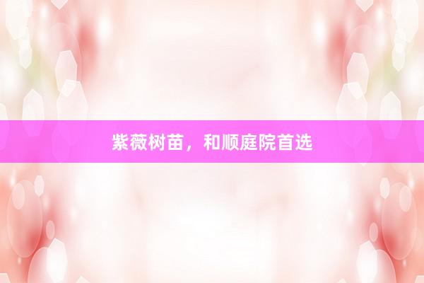 紫薇树苗，和顺庭院首选