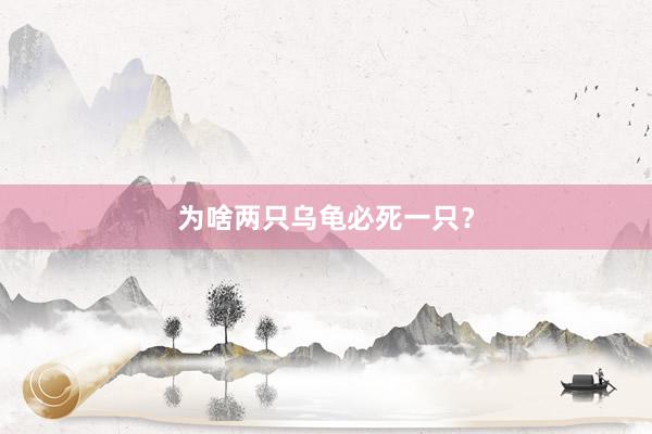为啥两只乌龟必死一只？