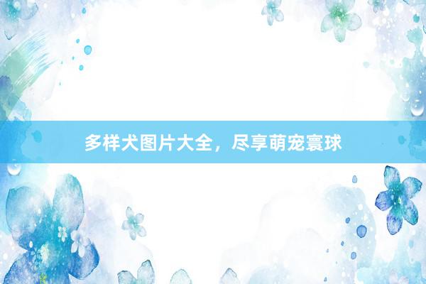 多样犬图片大全，尽享萌宠寰球