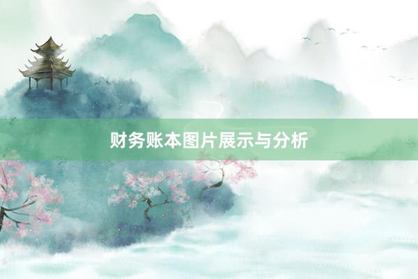 财务账本图片展示与分析